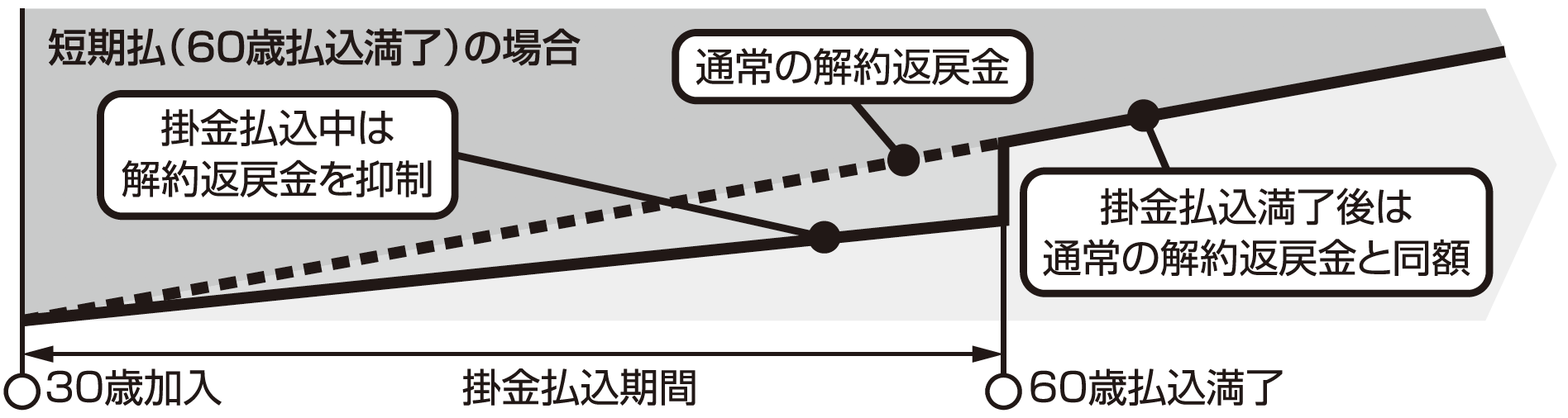せいめい共済 終身生命プラン 低解約返戻金型