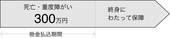 終身保障300万円のベーシックプラン